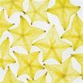 images/avatars/avatar-1042.jpg