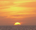 images/avatars/avatar-1133.jpg