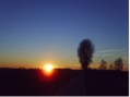 images/avatars/avatar-1649.jpg