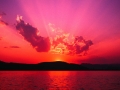 images/avatars/avatar-1655.jpg