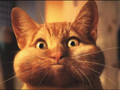 images/avatars/avatar-291.jpg