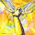images/avatars/avatar-946.jpg